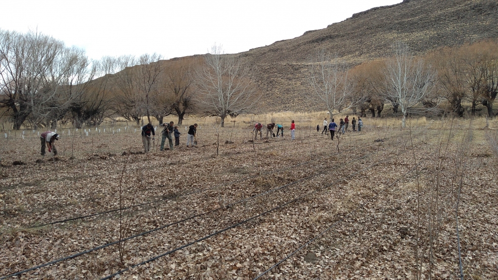 La imagen tiene un atributo ALT vacío; su nombre de archivo es max_2147_6.jpg