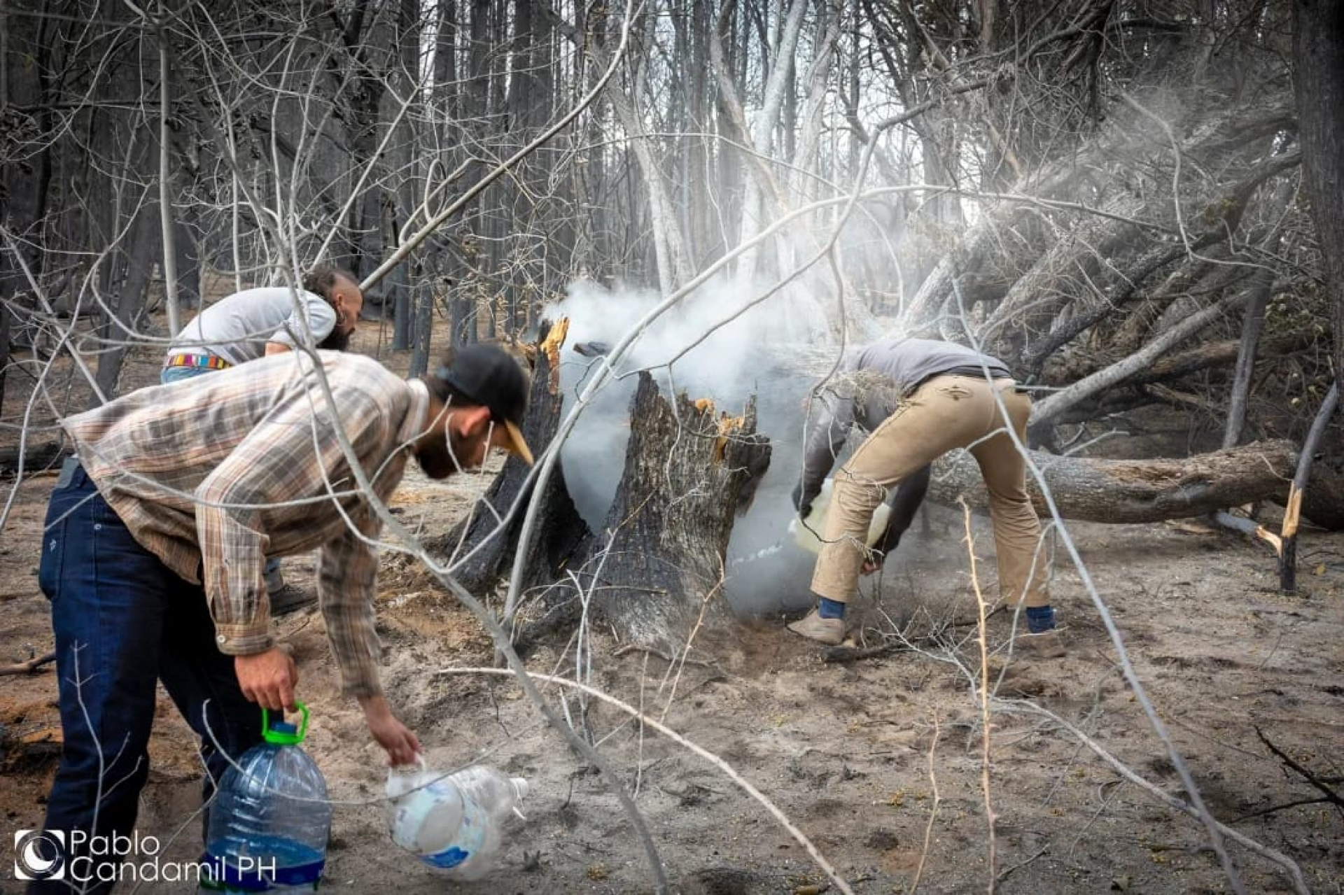 Se informó el resultado de la Convocatoria de Extensión “Incendios: el día después”