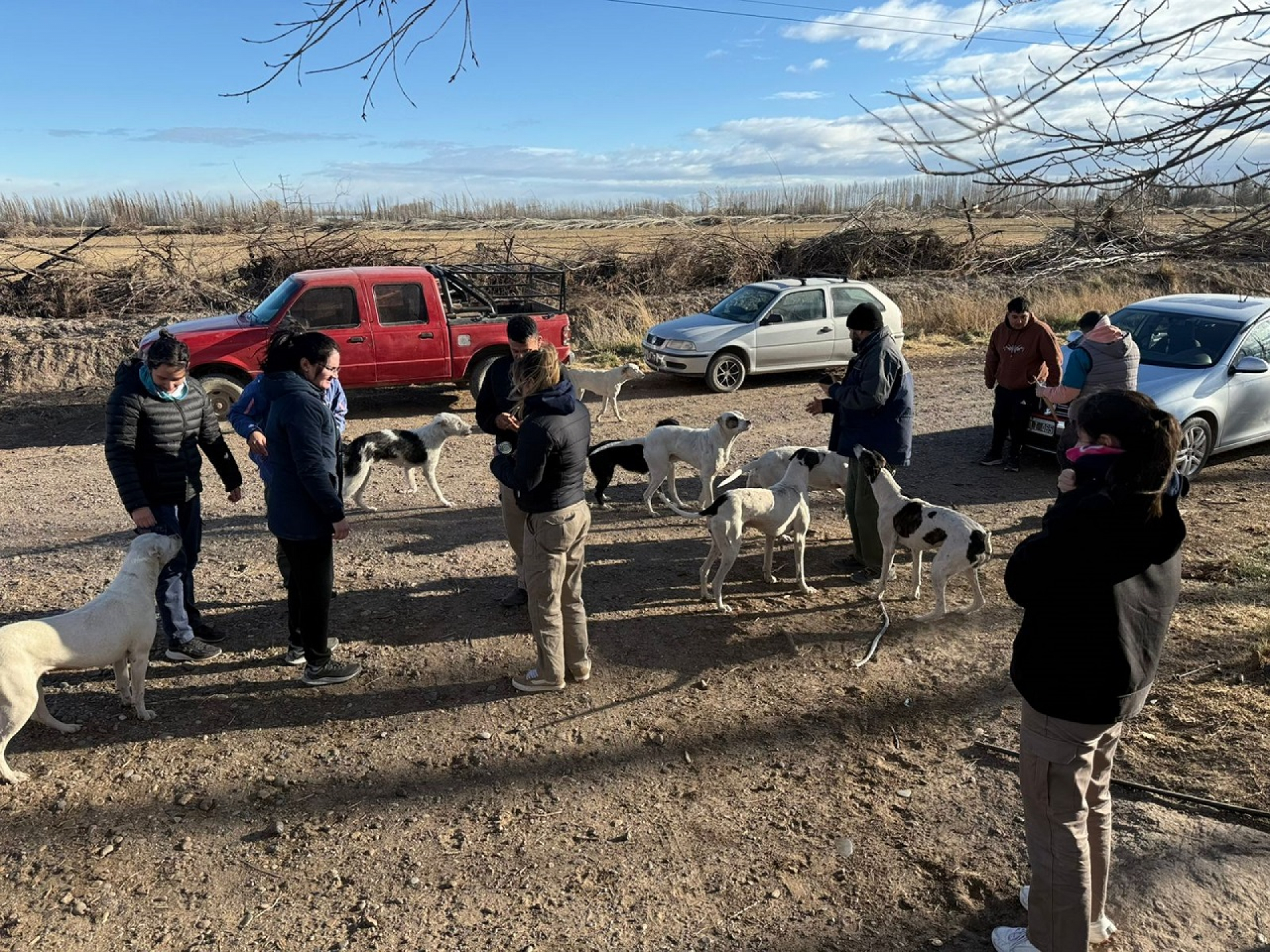 Docentes y estudiantes de Medicina Veterinaria participaron en una jornada de desparasitación en Lamarque