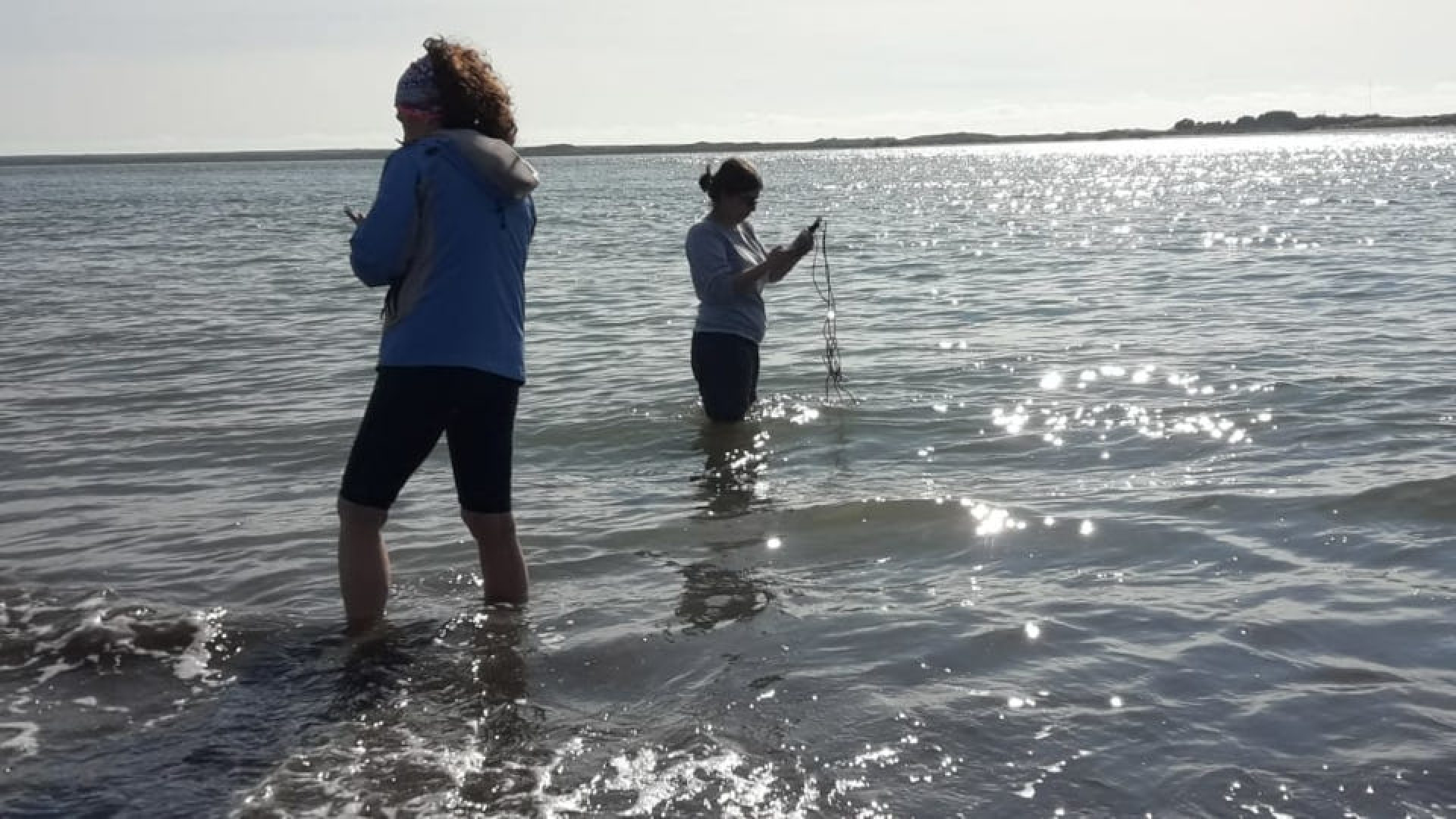 Primera publicación científica sobre presencia de microplásticos en peces patagónicos