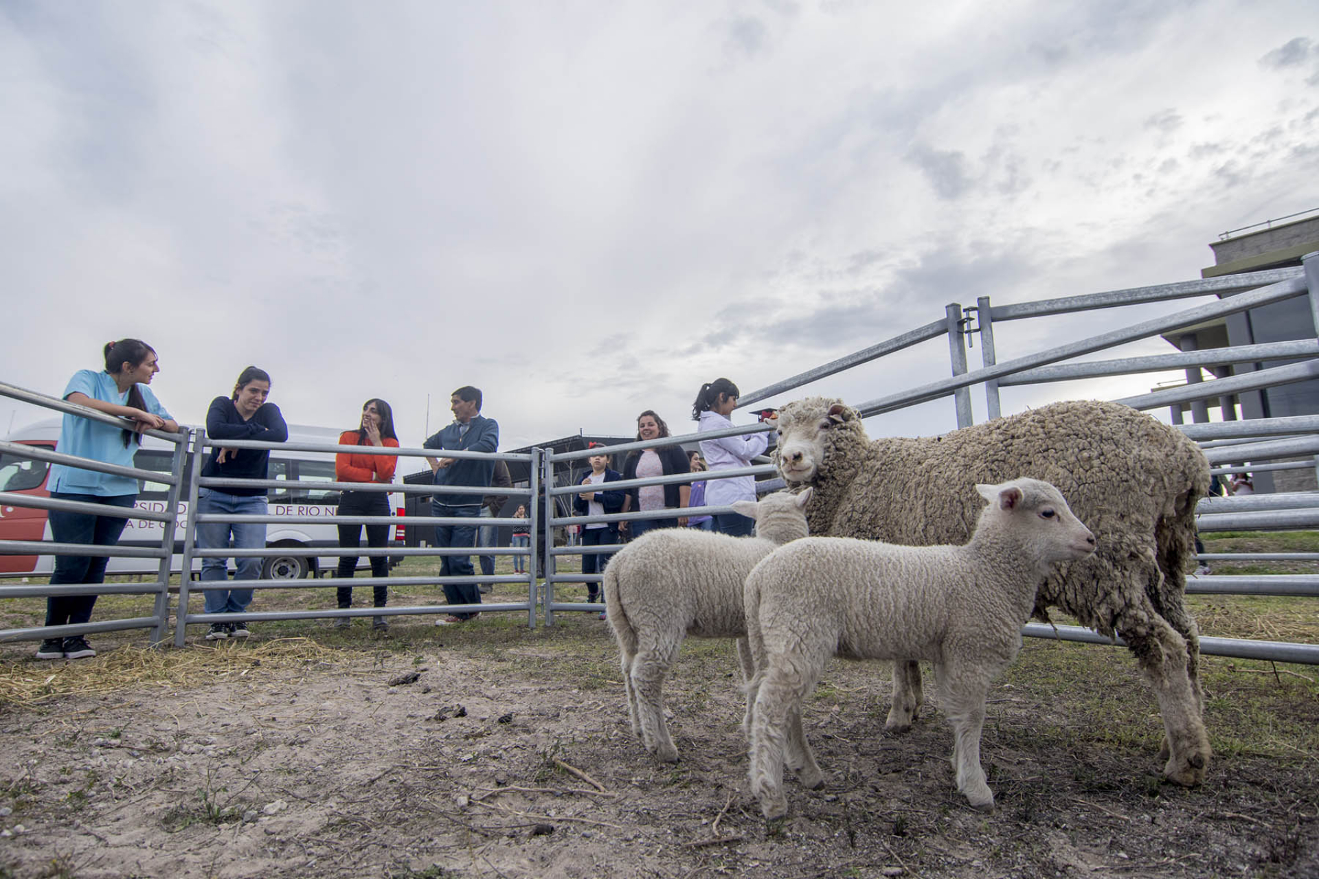 Comienza el proceso de acreditación de la carrera Medicina Veterinaria en la UNRN