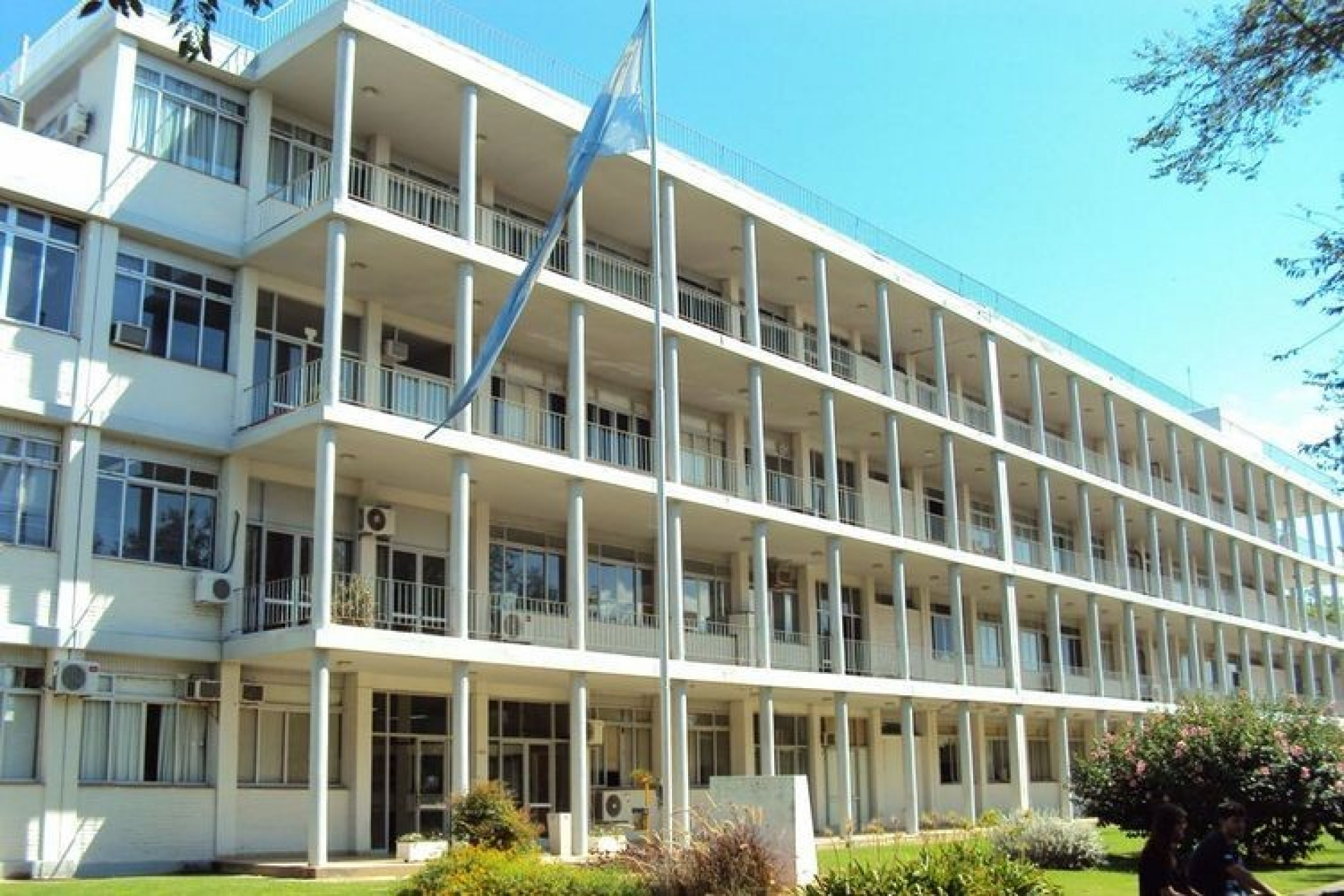 La UNRN se suma al debate nacional sobre discapacidad en las Facultades de Ciencias Veterinarias