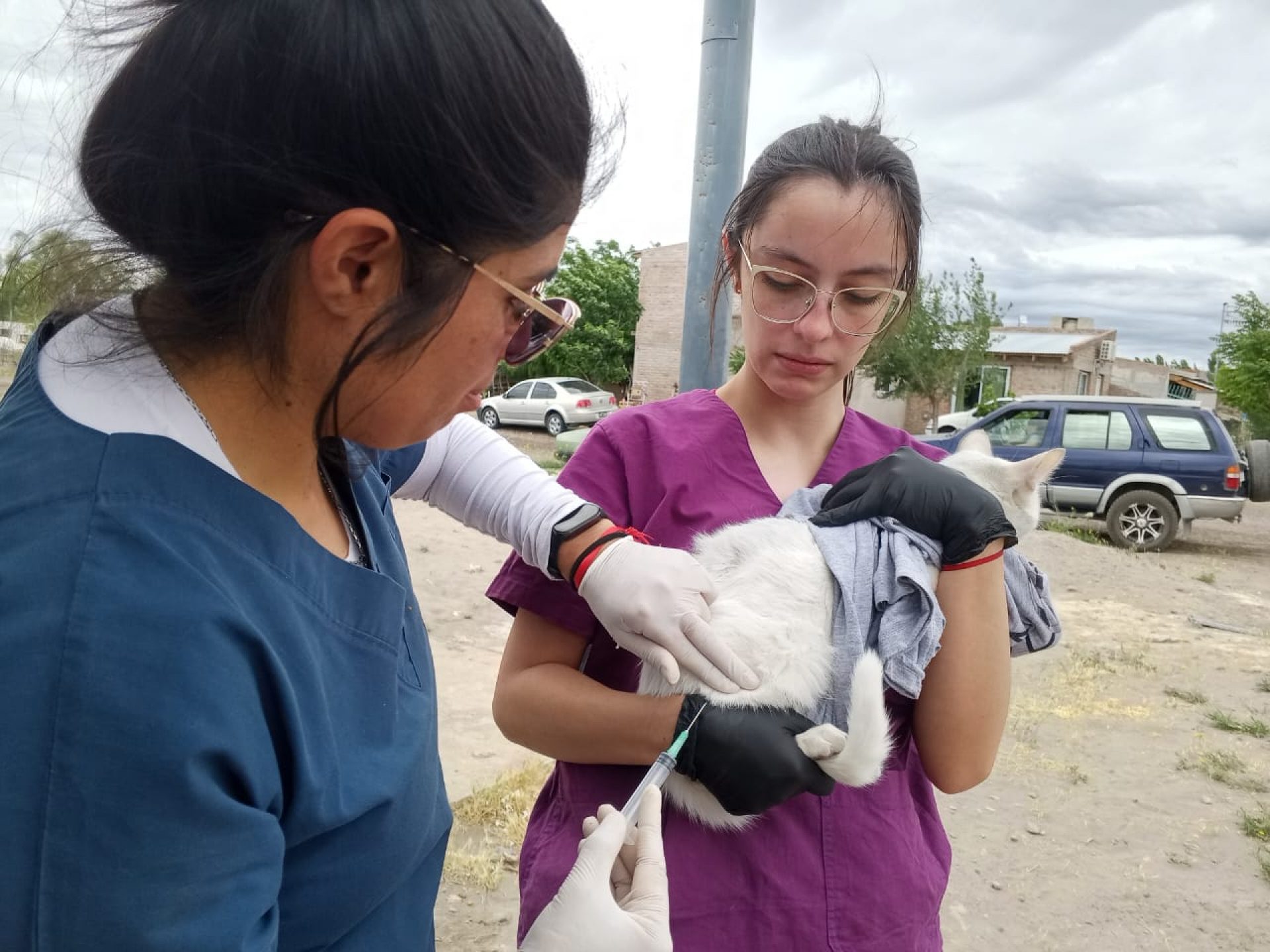 Estudiantes de Veterinaria de la UNRN realizaron atención primaria de mascotas en Chimpay