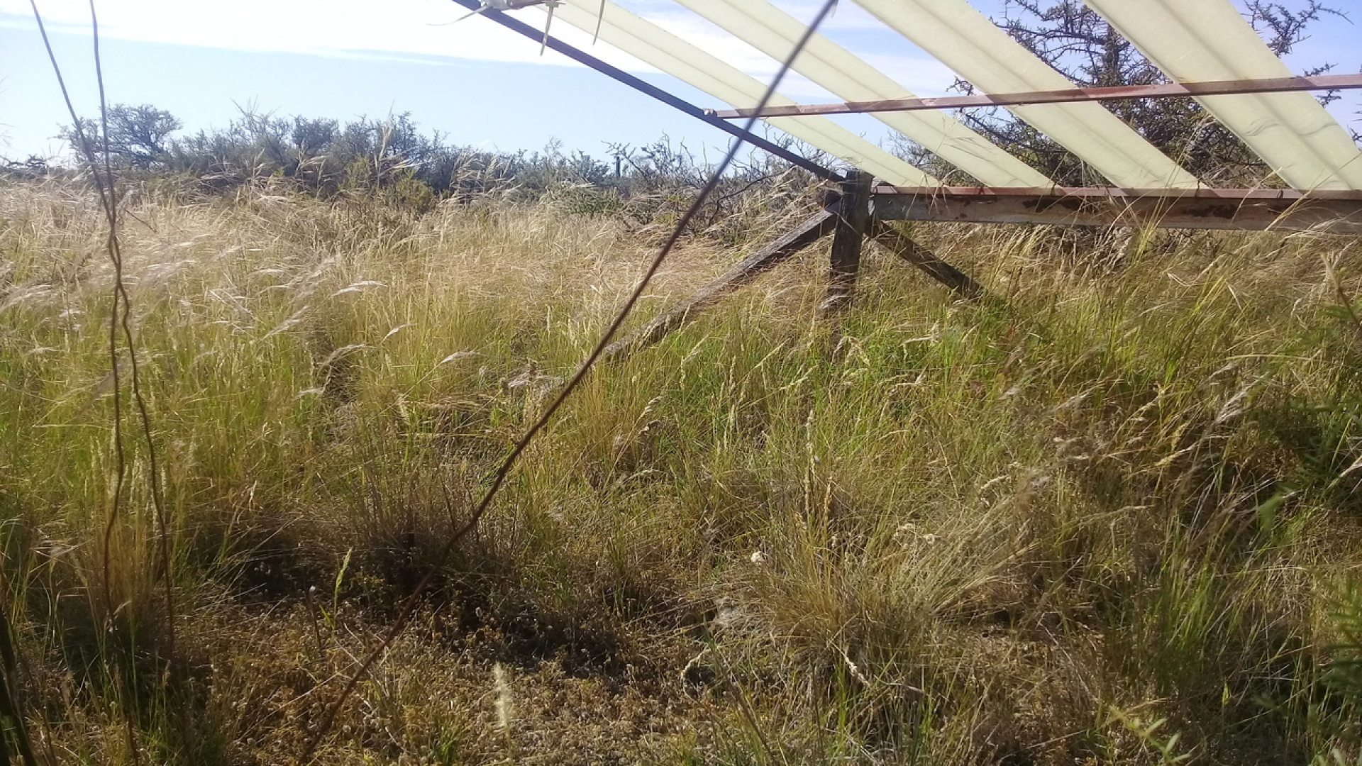 Investigadores del CEANPa participaron de un trabajo publicado en revista Science