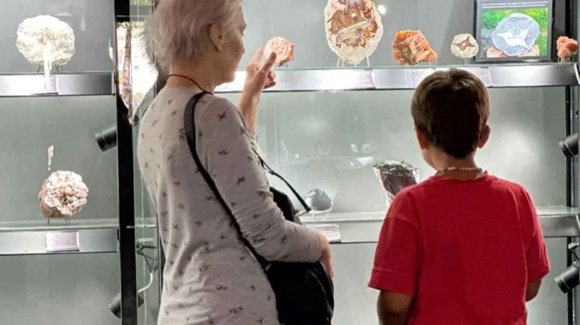 Convocan a Prácticas Formativas en el Geomuseo Eduardo Lucio de El Bolsón