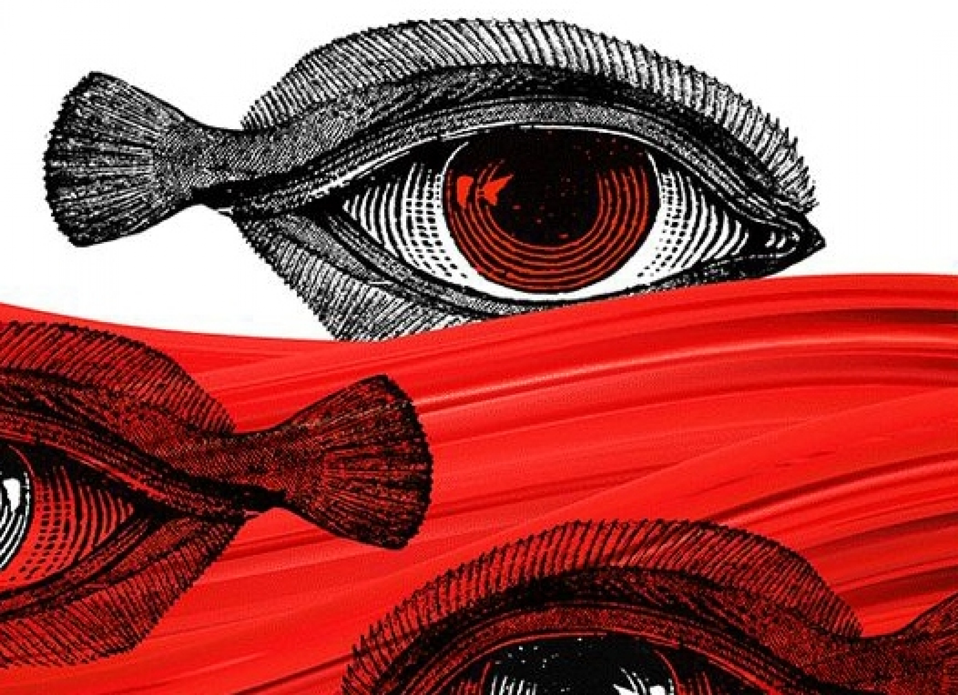 El Laboratorio de Periodismo Patagónico lanza la tercera edición de su Diplomatura en Narrativas Creativas de No Ficción