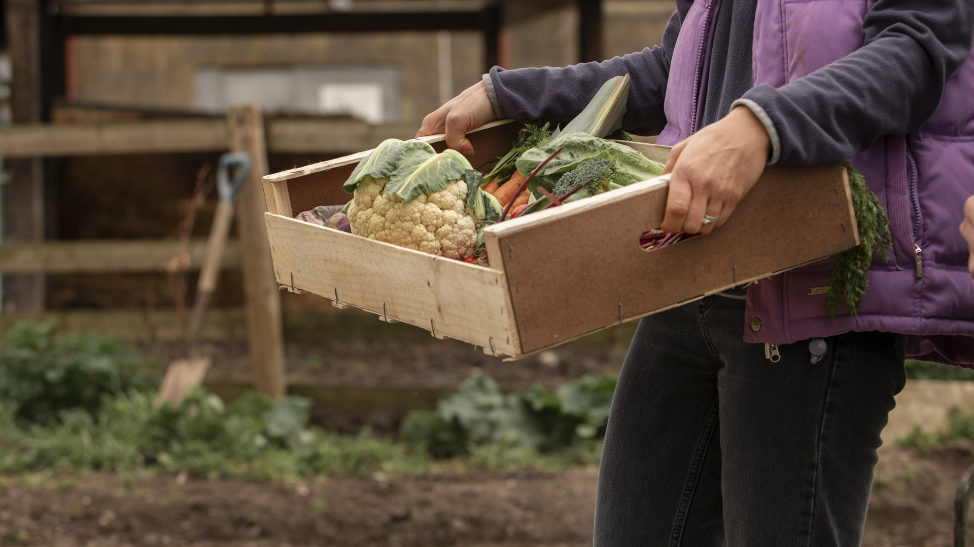 Convocatoria docente: Nutrición Animal