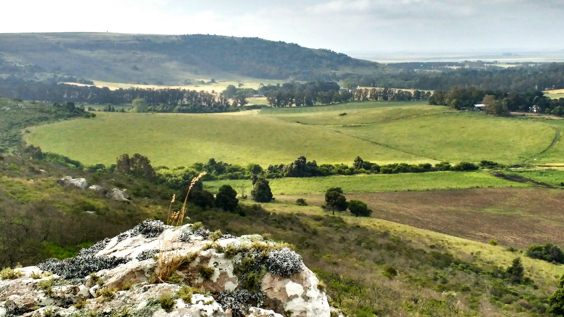 Convocatoria docente de la Licenciatura en Agroecología