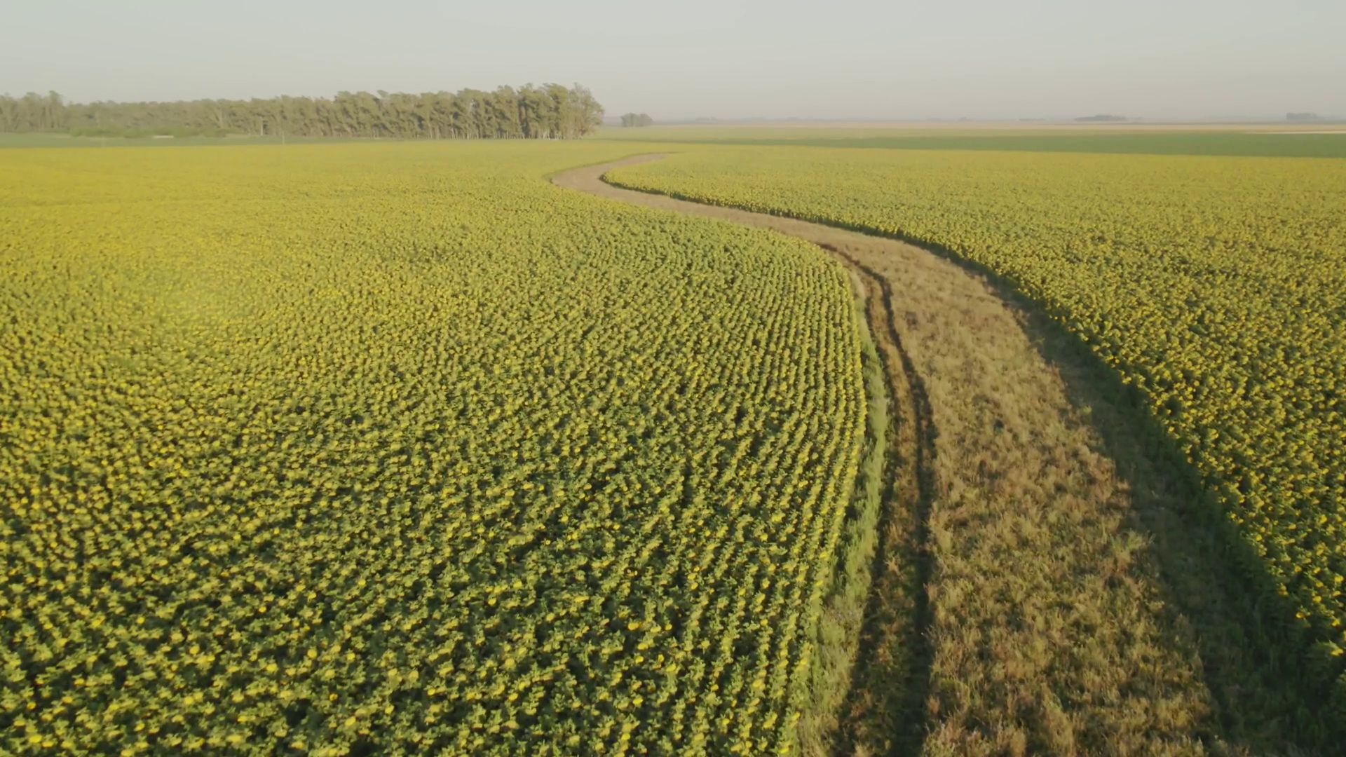 Una nueva agronomía basada en la naturaleza