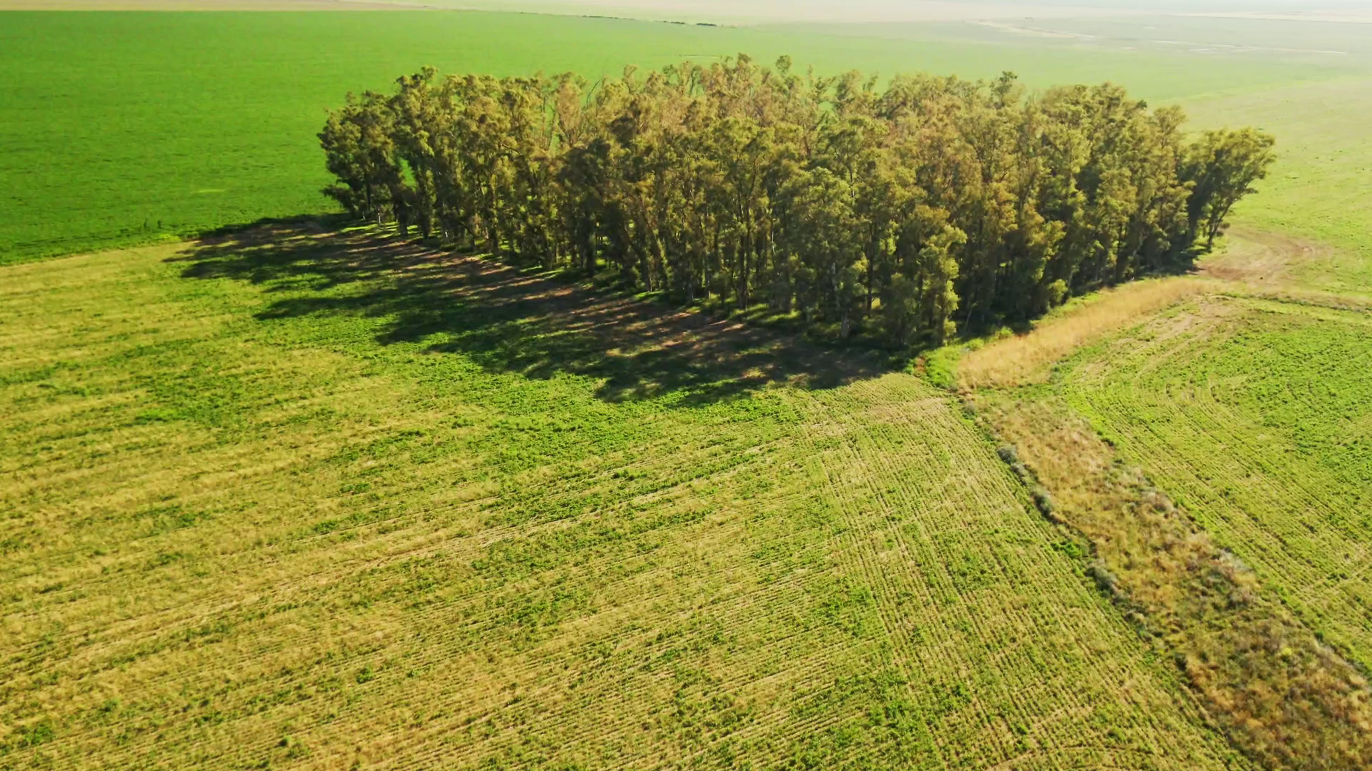 Hoja de ruta para una agricultura sustentable