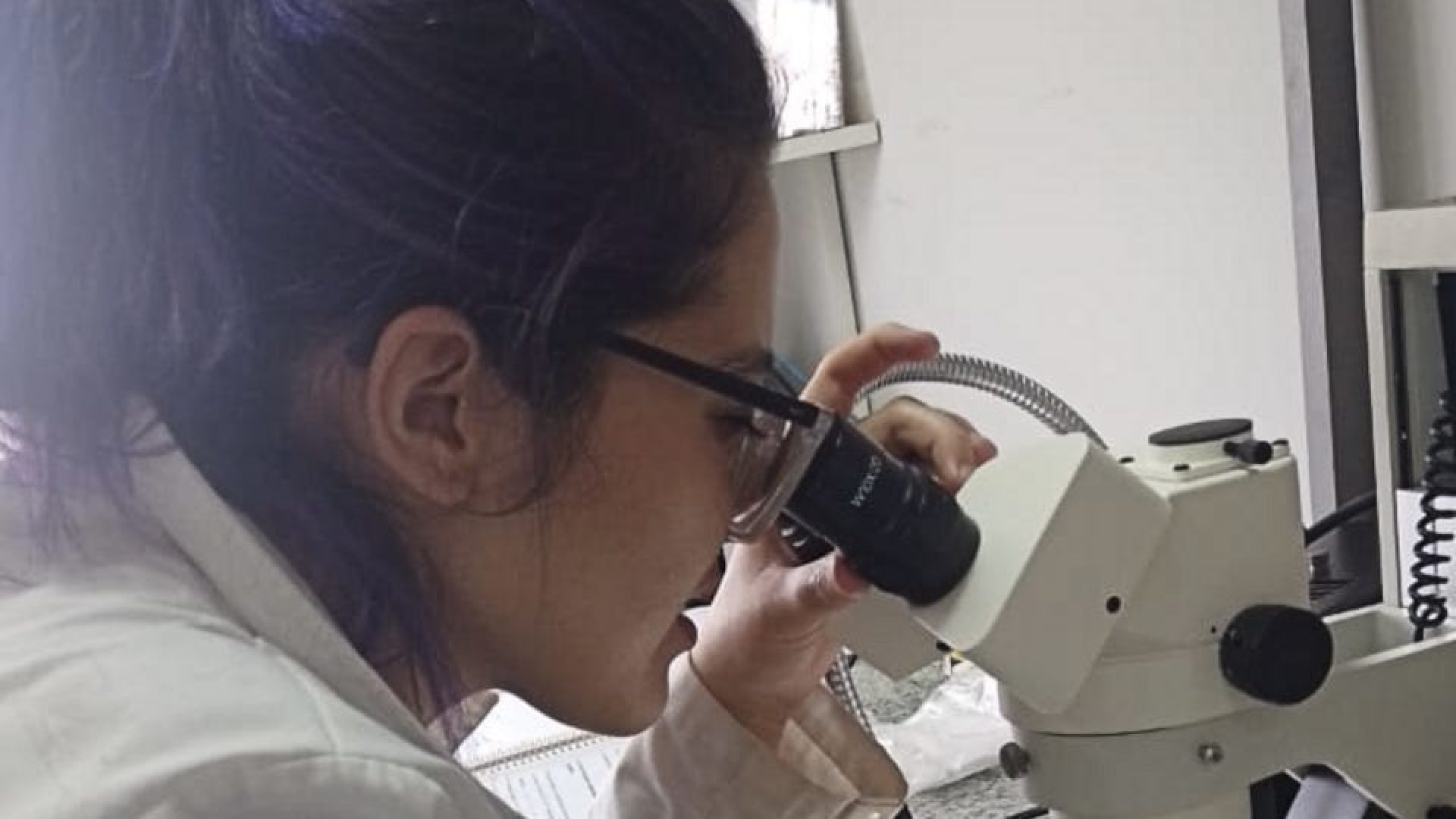 Publican investigación de estudiante de Ciencias del Ambiente 