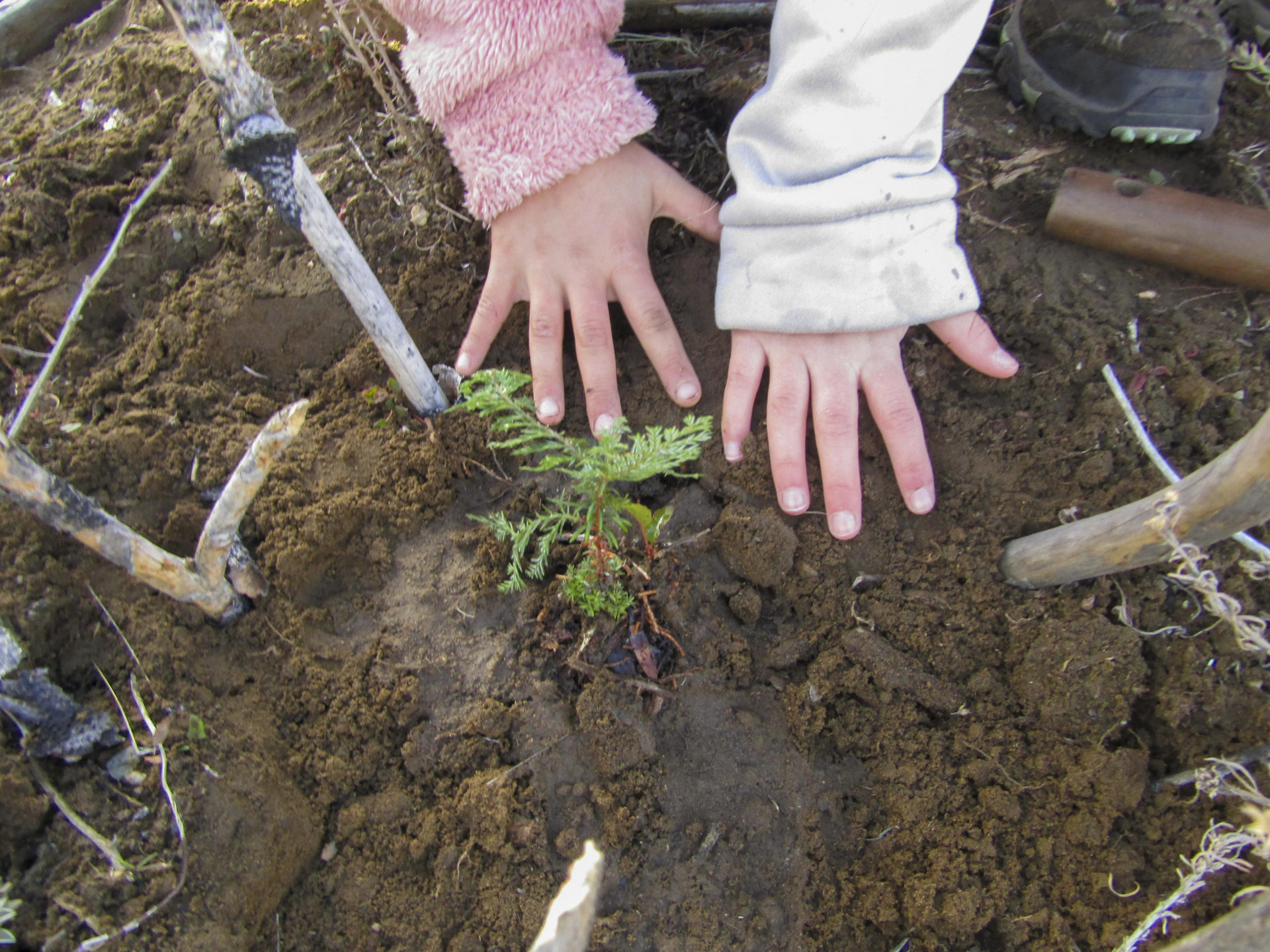 La UNRN y escuelas primarias trabajaron en la restauración del bosque