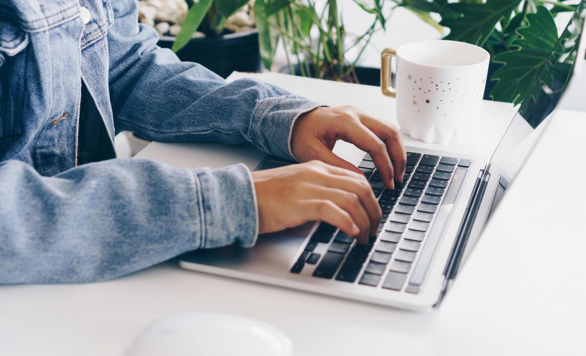 Nueva oportunidad de formación para estudiantes avanzados de Administración de Empresas