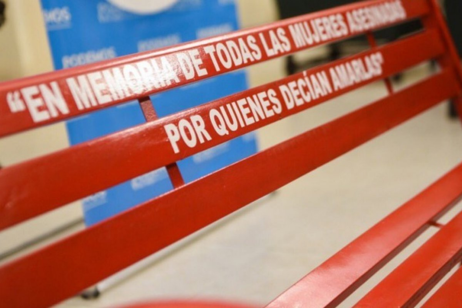 La UNRN se suma al proyecto Banco Rojo contra la violencia de género