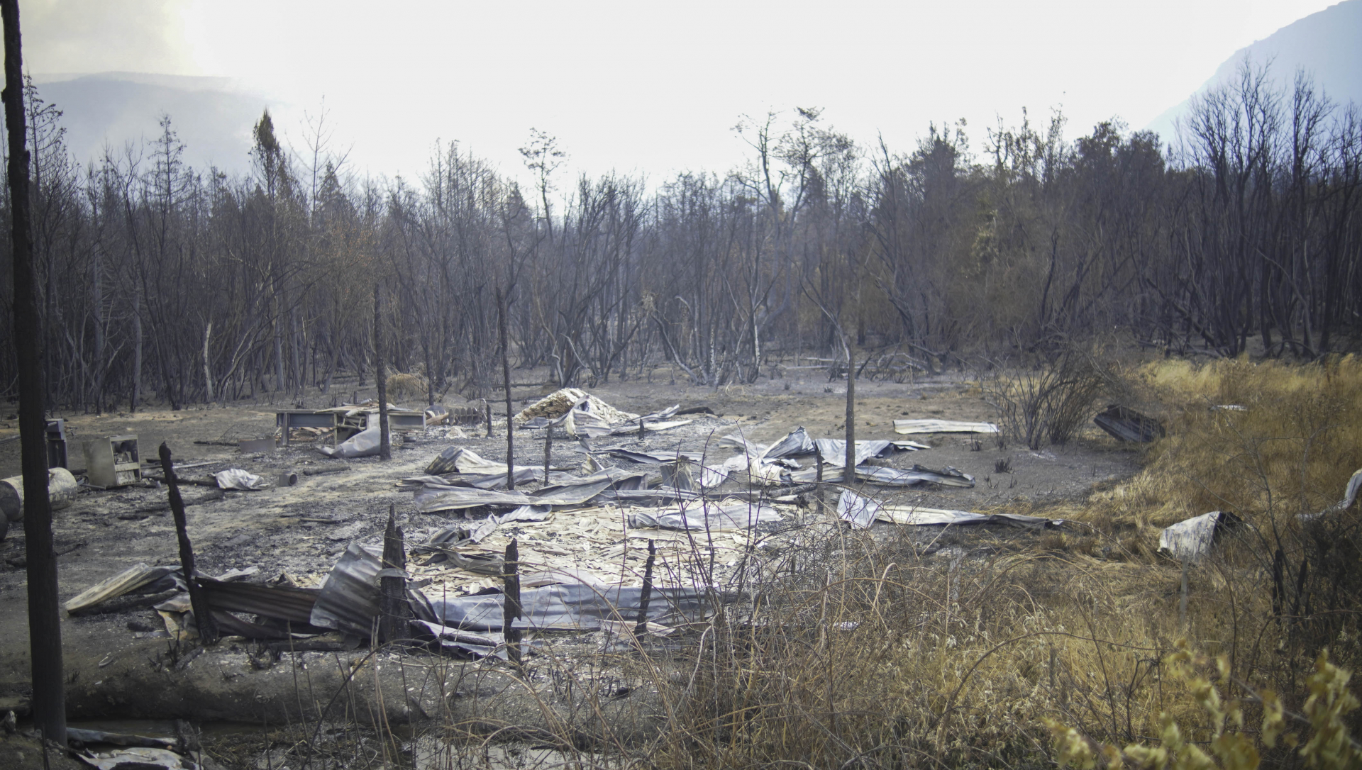 “Horizontes seguros”: La UNRN consolida su compromiso territorial y la integración de saberes frente a los incendios forestales