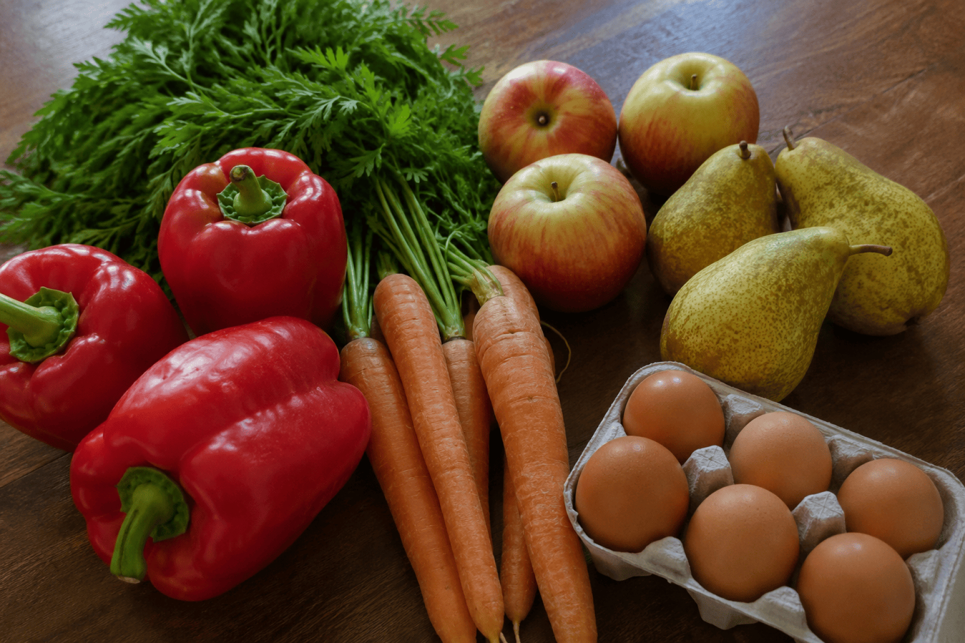 La UNRN será la sede de las I Jornadas Patagónicas de Alimentos