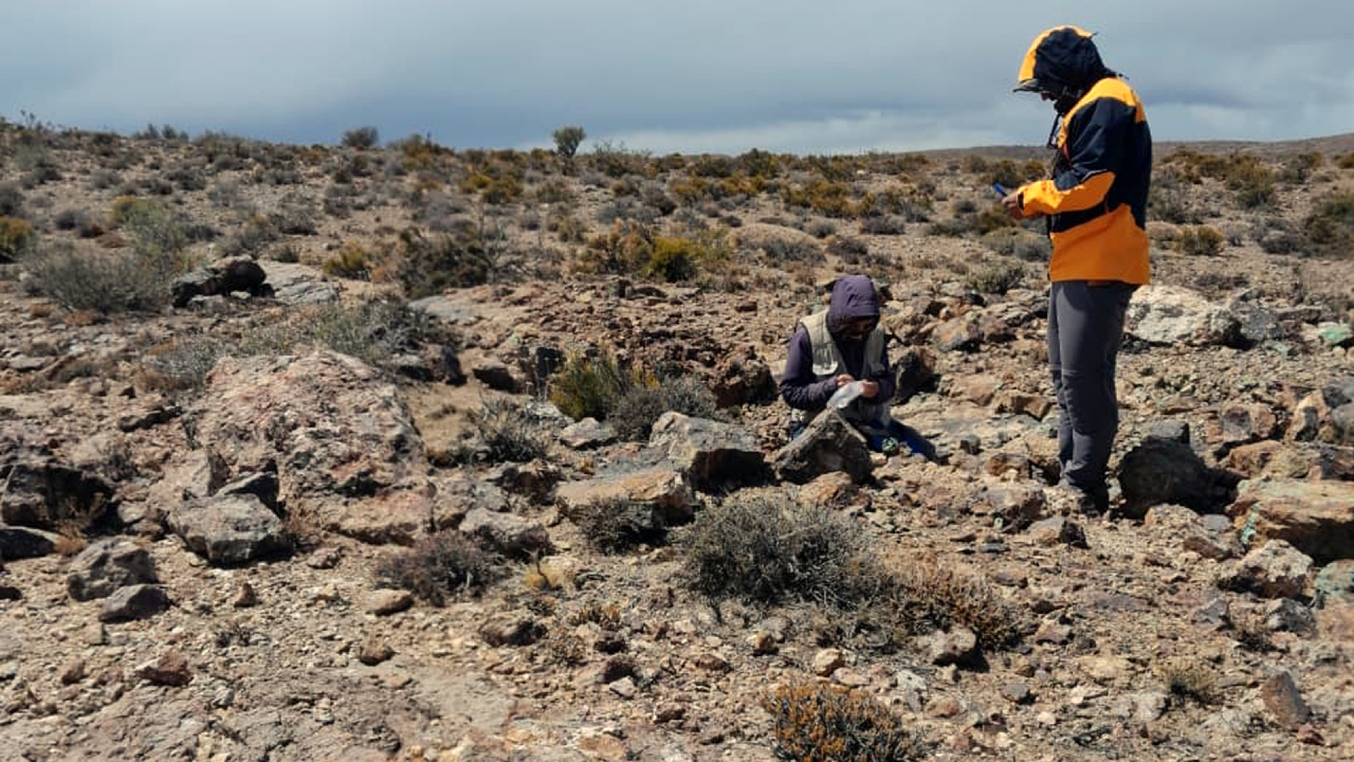 Hallazgo de litio asociado a un sistema hidrotermal en la Patagonia abre una alternativa de exploración en Argentina